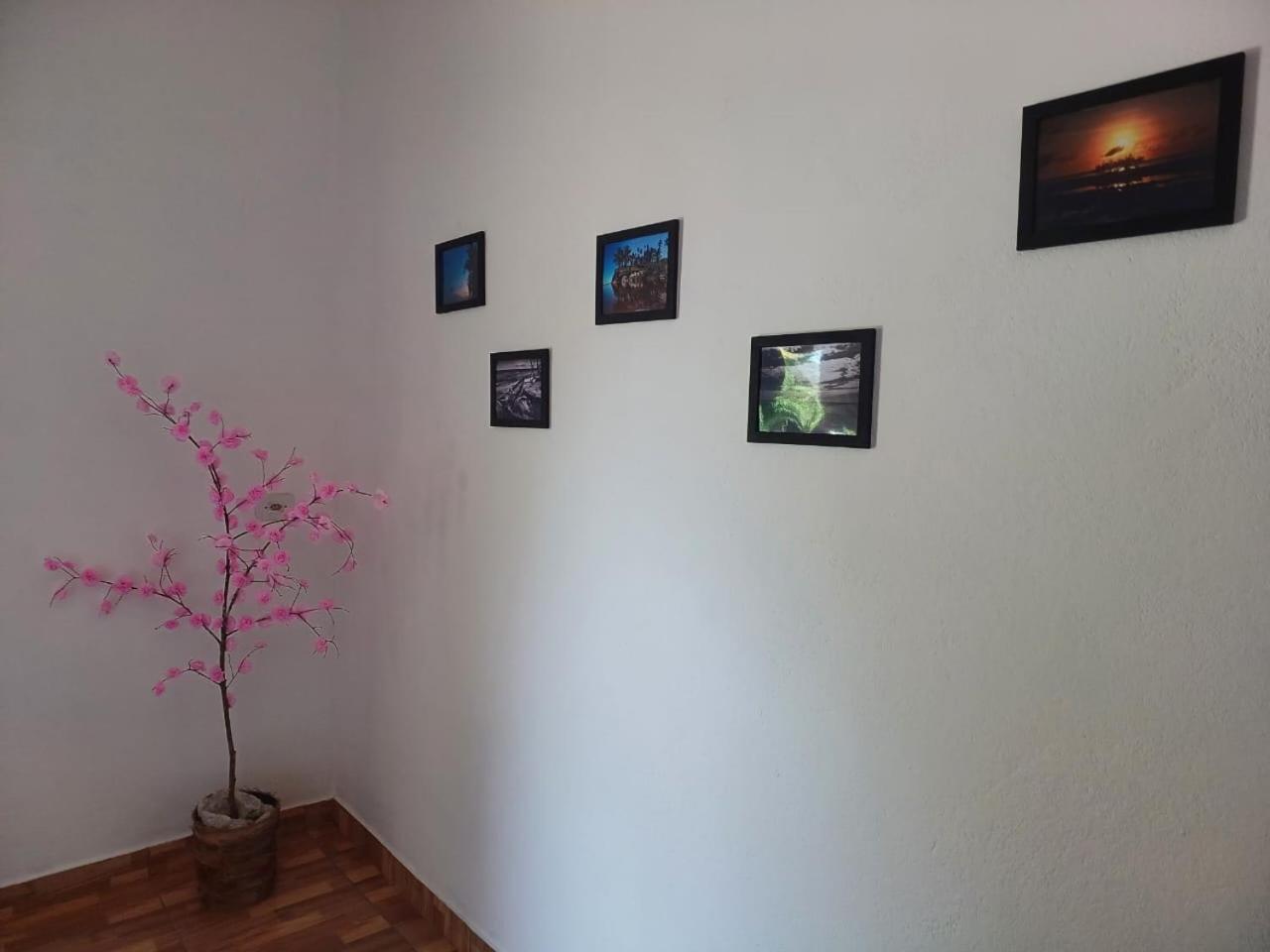 فيلا Casa Jubarte كوموروكساتيبا المظهر الخارجي الصورة